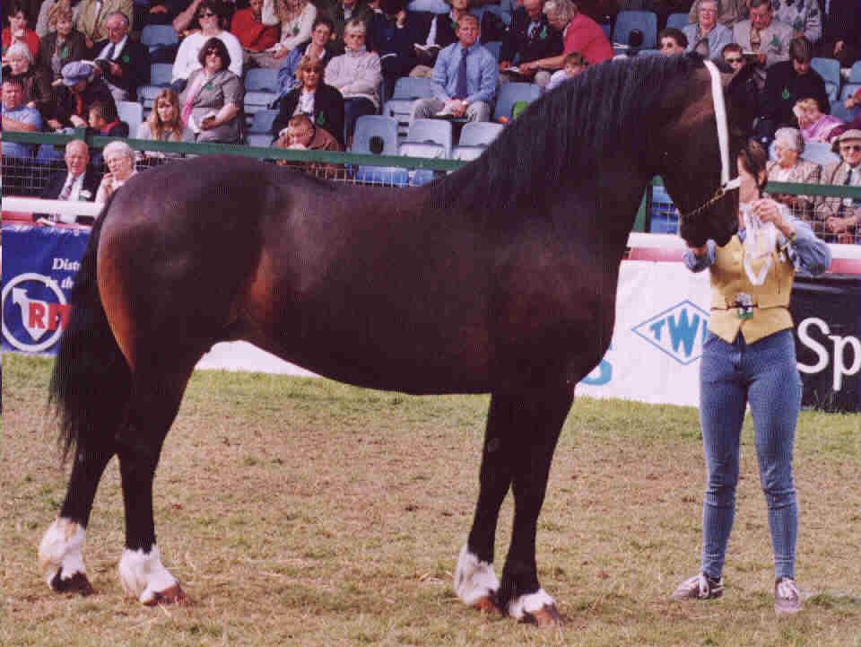 Valhalla's Emma på Royal Welsh 2002